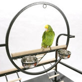 The O Parrot Play Stand Metal